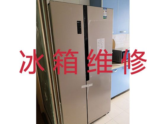 重庆万州区沙河街道电冰箱维修服务公司-冰柜加冰种维修，附近冰箱维修快速上门