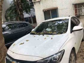 巢湖市正规二手汽车回收商|收购旧汽车，...