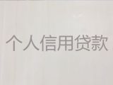 湖口县办理银行信用贷款中介-九江公司应急贷款