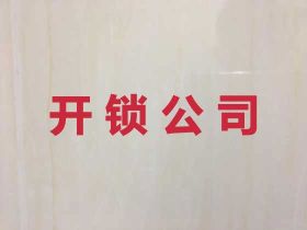 湖州普通門鎖開鎖服務-開智能鎖服務，技術...