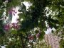 高考查分后，不同分数段学生都在关注什么？