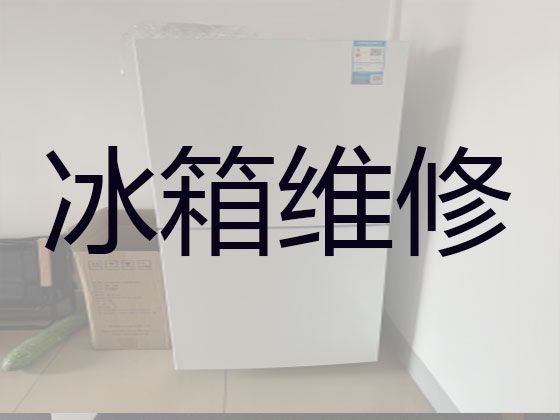萍乡安源区东大街道电冰箱维修清洗-小家电维修，24小时服务电话