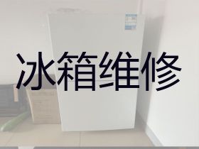青島電冰箱加氟維修服務-冰柜故障上門維修...