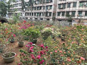 对于酒后挪车等行为，相关交通法规是如何具...