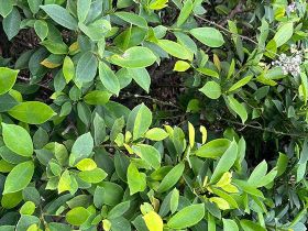 2026年新型环保塑料袋揉搓时还会发出同...