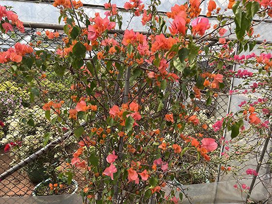 是否有依据表明特定的瑜伽或冥想练习能够改善视觉疲劳？