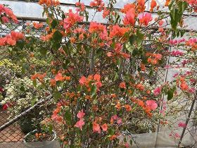 是否有依据表明特定的瑜伽或冥想练习能够...