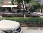 滨江高价上门回收二手车-本地汽车转让，价...