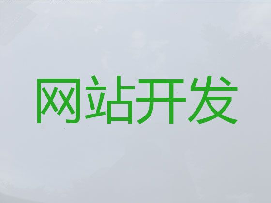 安慶網站搜索引擎優化%網站開發正規公司，價格透明