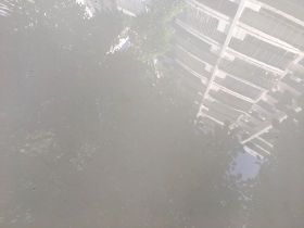 生菜的選購與保存技巧，教你挑選新鮮生菜及...