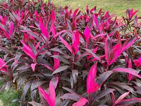 若原定抚养费已无法满足当前生活与教育需求...