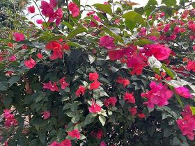 在野外或偏远地区活动时，有哪些方法可以增...