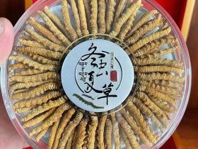 兰州礼盒装冬虫夏草高价回收|专业回收名酒...