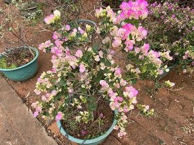 2026年生育支持政策下，产科定点医院选...