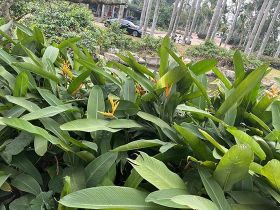 城乡协作有哪些新模式可以共同促进居民收入...