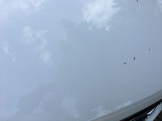 辣椒的功效與作用有哪些