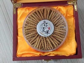 秦皇島高價回收冬蟲夏草|海參上門回收