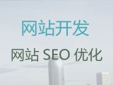 深圳網站定制開發公司#企業獲客渠道，專業設計團隊