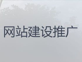 應城市SEO網絡推廣%網站開發制作服務...