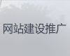 天津軟件開發，品牌網站開發設計，專業開發團隊