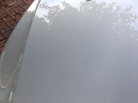 西番蓮的園藝栽培指南：土壤、光照與水分管...