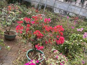 从生产到零售环节减少食品浪费可以如何优化...