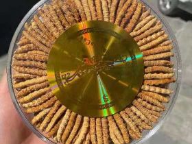 沭陽禮盒裝冬蟲夏草上門回收-禮品回收店