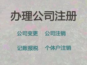 資陽專業(yè)公司注冊@公司地址變更，正規(guī)代辦...
