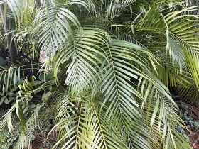 针对撂荒地复耕的补贴政策在2026年是否...