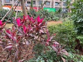 腌制食品和发酵食品变质时有哪些不易察觉的...