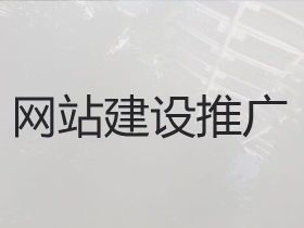昌都市品牌網站開發建設-erp系統開發...