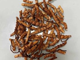 包頭禮盒冬蟲夏草上門回收-魚翅回收