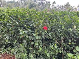 针对复杂小区，骑手专用地图是如何提供精...