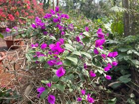 保障低空飞行安全，除了驾驶员操作，地面上...