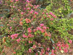 理发师晋升为“技术总监”，到底需要考核哪...