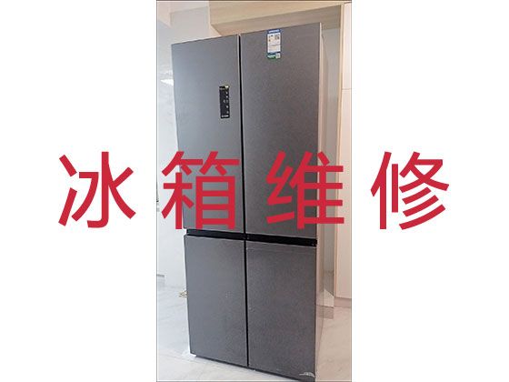柳州柳北区雅儒街道专业冰箱维修师傅上门电话-冰柜维修保养，收费合理