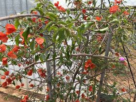 孩子面临小升初，如何科学帮助他调整学习习...