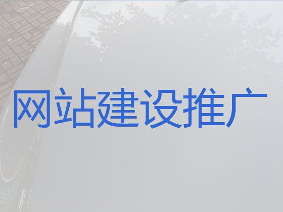 清远网站定制开发服务@企业获客助手，专业建站