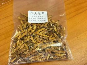 海安斷條冬蟲夏草上門回收-回收蟲草、魚翅...