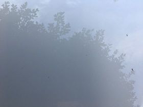 日暈出現怎么觀測？觀賞時機與肉眼觀測安全...