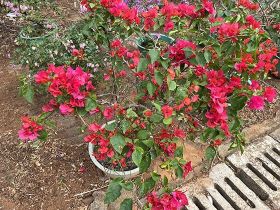 在SQLSERVER中用SSMS实现每日...