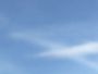 丹参太空种植实验：微重力环境下根系发育与...