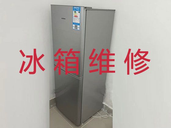 汉中南郑区汉山街道电冰箱维修电话-冰箱冰柜不通电维修服务，快速上门