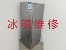 連云港專業冰箱維修上門電話-冰柜維修保...