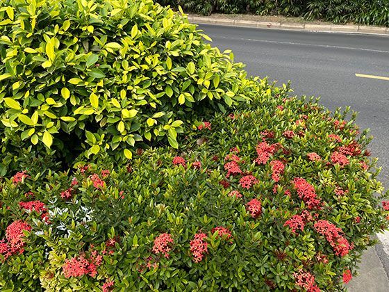 面对自然老化，目前有哪些不破坏原貌的现代技术可延长历史建筑寿命？