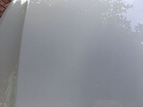 探索不同季節適合贈送的花束種類及其背后蘊...
