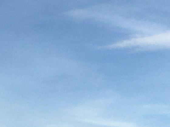 當歸種植碳足跡分析：從育苗到采收的全生命周期排放