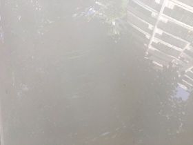 南瓜的“跨洋迁徙”：从美洲原住民作物到全...