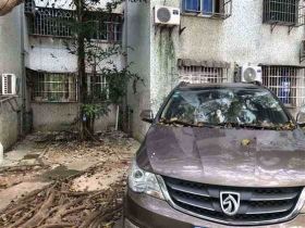 明港鎮(zhèn)回收?qǐng)?bào)廢車(chē)-收購(gòu)舊車(chē)輛，快速上門(mén)...