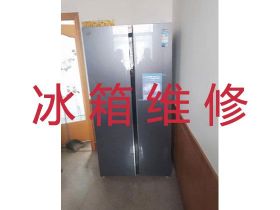 安順電冰箱漏水漏電維修-冰箱冰柜不制冷維...